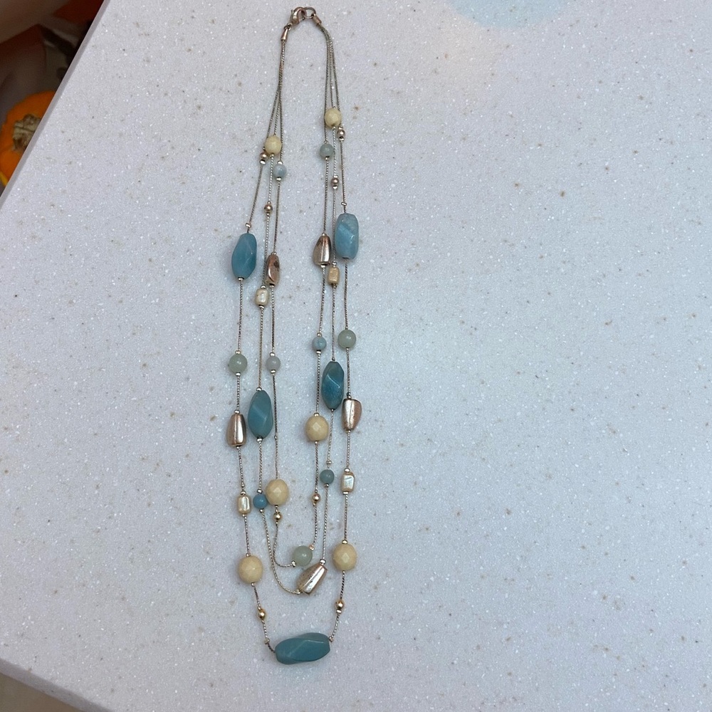 Express Fashion Necklace